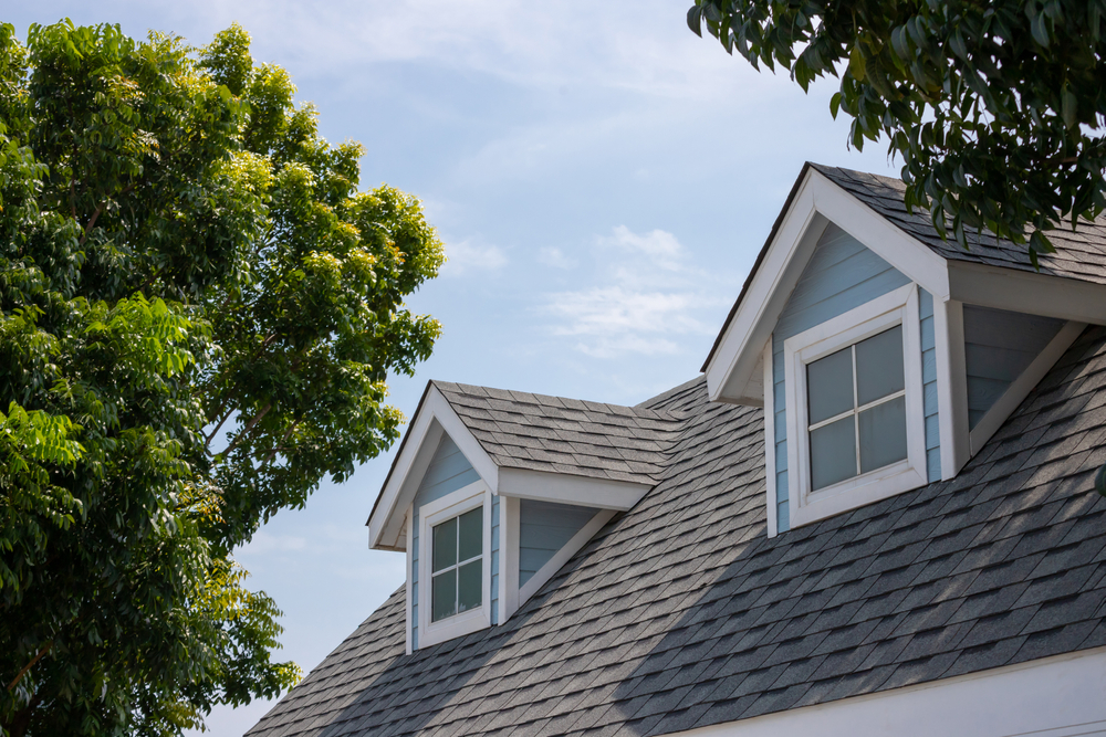 slate grey roof on a clear day
